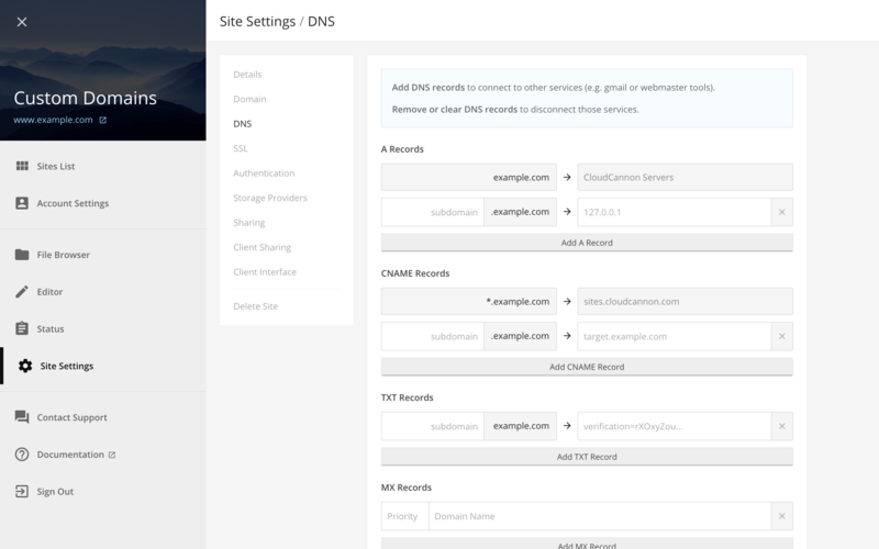 Site Settings / DNS section with no additional records